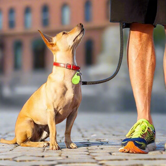 TrackMyPet - Draadloze Bluetooth & GPS Tracker