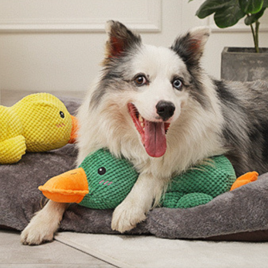 BiteResistant - Duurzaam eend-speeltje voor honden