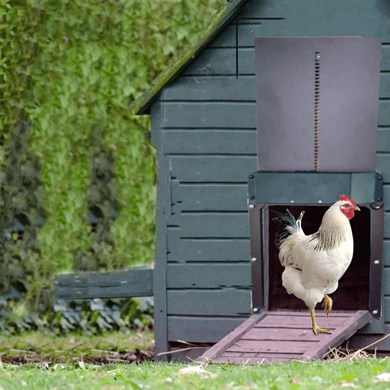 CluckGuard - Robuuste en Weerbestendige Kippenhok Deur