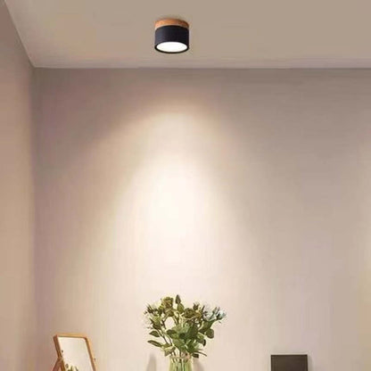 LumiSpot - Moderne Minimalistische Plafondlamp voor Strakke Interieurs