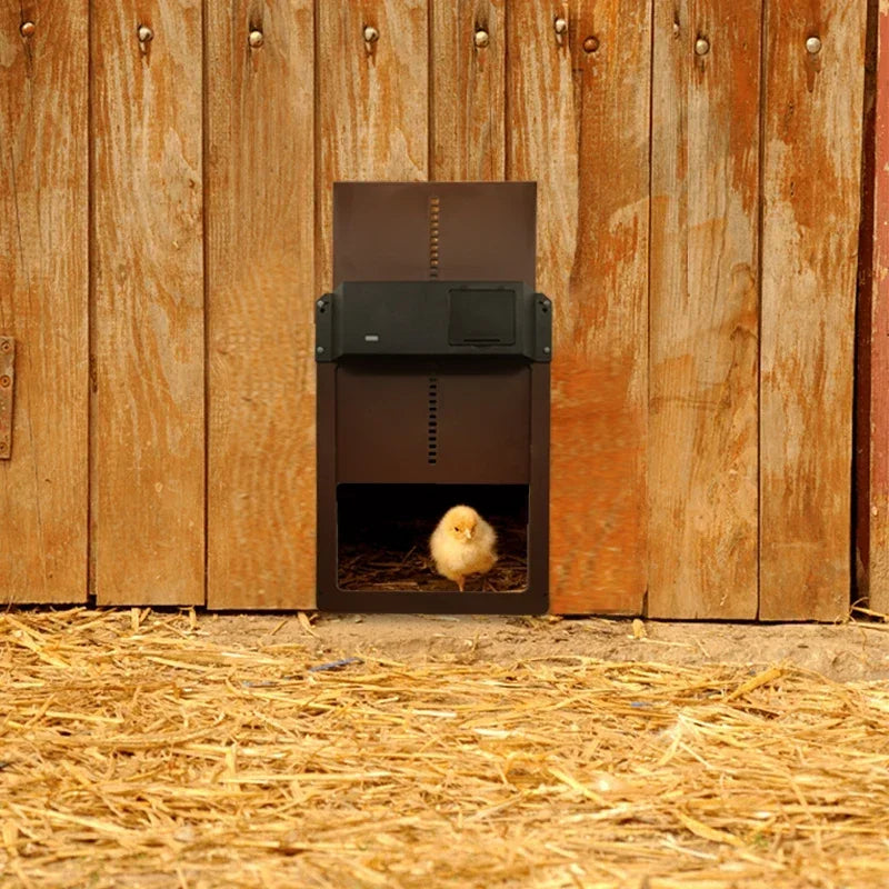 CluckGuard - Robuuste en Weerbestendige Kippenhok Deur