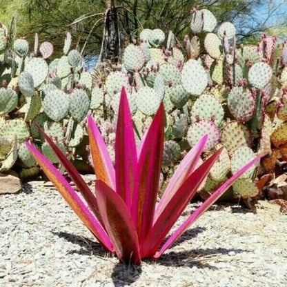 OutdoorGarden - Handgemaakte, beschilderde metalen agave planten