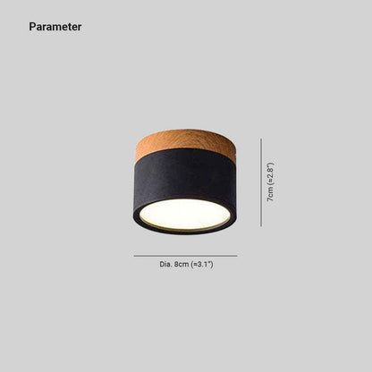 LumiSpot - Moderne Minimalistische Plafondlamp voor Strakke Interieurs