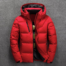 David - Stijlvolle en Warme Winter Puffer Jas met Capuchon