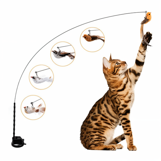 WingPlay - Interactieve vogelsimulatieset voor katten